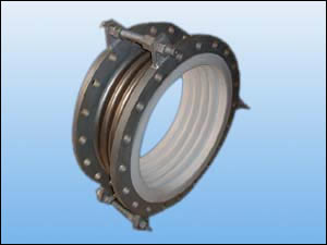 PTFE expansion joint